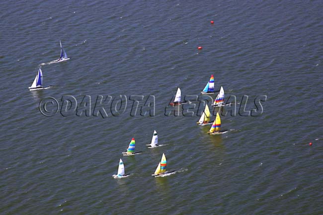 Hobie Races